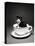 Kitten in a Teacup-Robert Essel-Premier Image Canvas