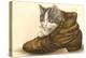 Kitten in Shoe-null-Stretched Canvas
