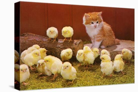Kitten with Chicks-null-Stretched Canvas