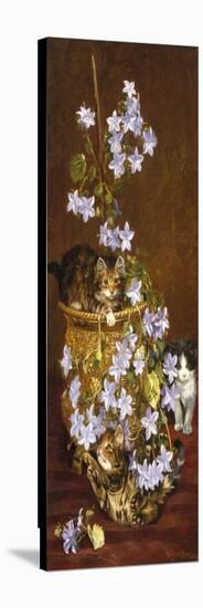 Kittens and Flowers, c.1903-Wilson Hepple-Premier Image Canvas