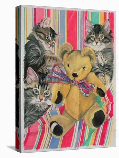 Kittens and Teddy-Anne Robinson-Premier Image Canvas