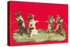 Kittens Playing Tug of War-null-Stretched Canvas