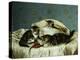 Kittens up to Mischief-Horatio Henry Couldery-Premier Image Canvas