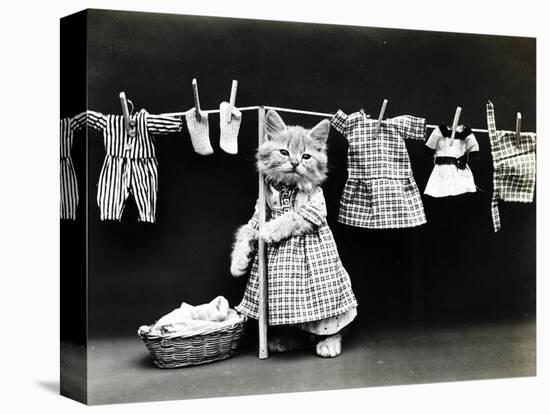 Kitty Laundry-Vintage Apple Collection-Premier Image Canvas