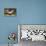 Kittywake Gulls-Archibald Thorburn-Premier Image Canvas displayed on a wall