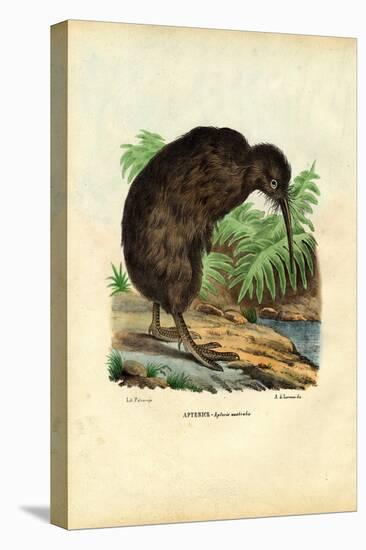 Kiwi, 1863-79-Raimundo Petraroja-Premier Image Canvas