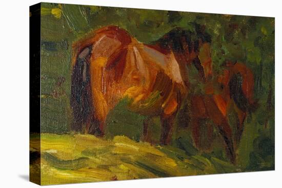 Kleine Pferdestudie I, 1905-Franz Marc-Premier Image Canvas