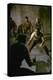 Knife Fight Scene from West Side Story-Gjon Mili-Premier Image Canvas