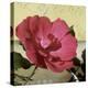 Knock Out Rose-Herb Dickinson-Premier Image Canvas