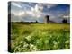 Knowlton Church, Dorset, UK-Ross Hoddinott-Premier Image Canvas