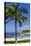 Ko Olina Beach, West Coast, Oahu, Hawaii, United States of America, Pacific-Michael DeFreitas-Premier Image Canvas