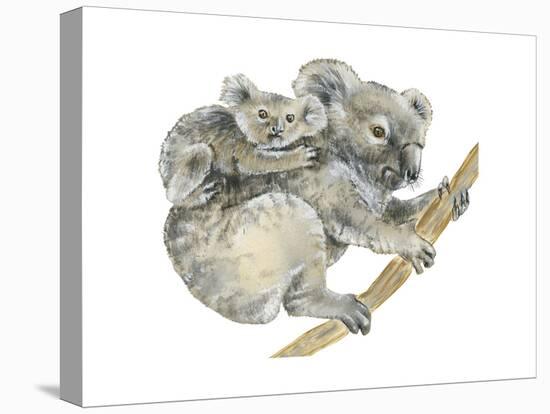 Koala (Phascolarctos Cinereus), Marsupial, Mammals-Encyclopaedia Britannica-Stretched Canvas