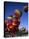 Kodak Albuquerque International Balloon Fiesta New Mexico USA-null-Premier Image Canvas