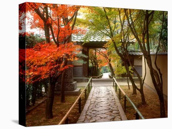 Koetsuji Temple in Autumn-null-Premier Image Canvas