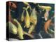 Koi Carp Fish in Pool, Taipei, Taiwan, Asia-Sylvain Grandadam-Premier Image Canvas