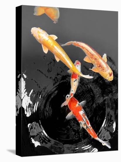 Koi Fish 2, 2024-Lily Patton-Stretched Canvas