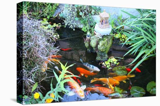 Koi Fish Garden-photojohn830-Premier Image Canvas