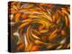 Koi in Circular Design and Pattern-Darrell Gulin-Premier Image Canvas