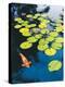 Koi Pond I-Maureen Love-Premier Image Canvas