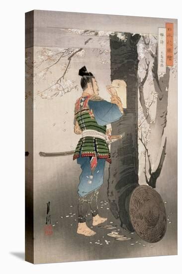 Kojima Takanori Writing a Poem on a Cherry Tree, from the Series, 'Pictures of Flowers of Japan',…-Ogata Gekko-Premier Image Canvas