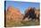 Kolob Canyons, Zion National Park, Utah, United States of America, North America-Gary Cook-Premier Image Canvas