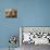Komodo Dragon Skin, SEM-Steve Gschmeissner-Premier Image Canvas displayed on a wall