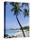 Kona State Beach, Island of Hawaii (Big Island), Hawaii, USA-Ethel Davies-Premier Image Canvas