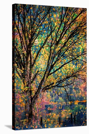 Kootenay Fall 3-Ursula Abresch-Premier Image Canvas