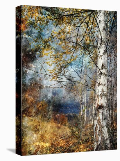 Kootenay Fall-Ursula Abresch-Premier Image Canvas