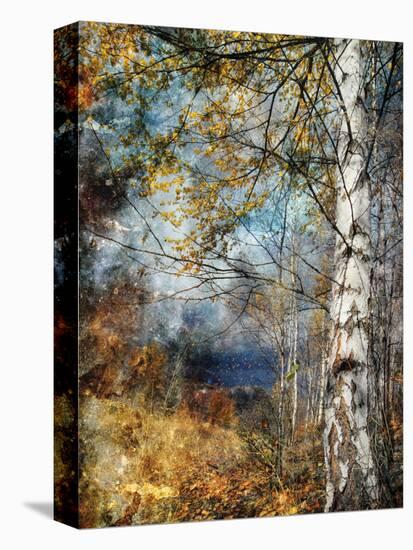 Kootenay Fall-Ursula Abresch-Premier Image Canvas