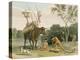 Korah Hottentots Preparing to Remove, Plate 20 from 'African Scenery and Animals'-Samuel Daniell-Premier Image Canvas