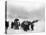 Korean Refugees Slog Through Snow Outside of Kangnung (Gangneung)-null-Stretched Canvas
