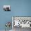 Korean War U.S. Land at Pohang-Associated Press-Premier Image Canvas displayed on a wall