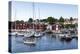 Koster Islands, Vastra Gotaland Region, Sweden, Scandinavia, Europe-Yadid Levy-Premier Image Canvas