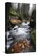 Krinice River Flowing Past Large Rocks in Forest, Kyov, Ceske Svycarsko, Czech Republic, November-Ruiz-Premier Image Canvas