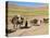 Kuchie Nomad Camel Train, Between Chakhcharan and Jam, Afghanistan-Jane Sweeney-Premier Image Canvas