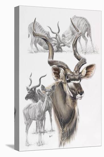 Kudu-Barbara Keith-Premier Image Canvas