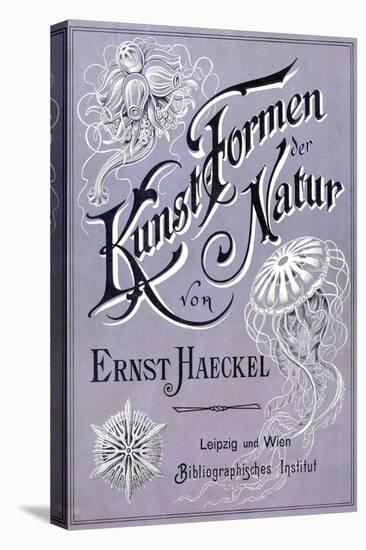 Kunstformen Der Natur - Artforms in Nature Book Cover-Ernst Haeckel-Stretched Canvas