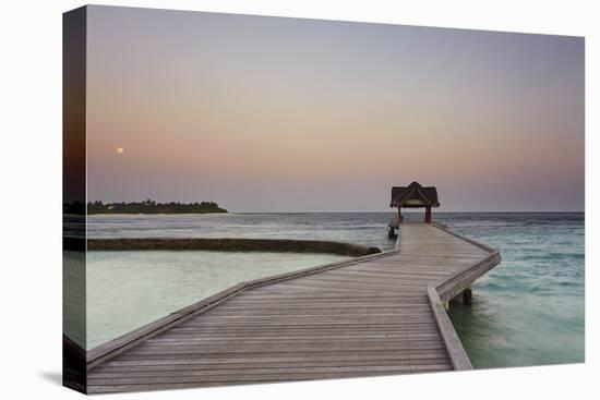 Kuramathi Island, Rasdhoo atoll, Ari atoll, Maldives, Indian Ocean, Asia-Nigel Hicks-Premier Image Canvas