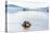 Kurile Lake-Giuseppe DAmico-Premier Image Canvas