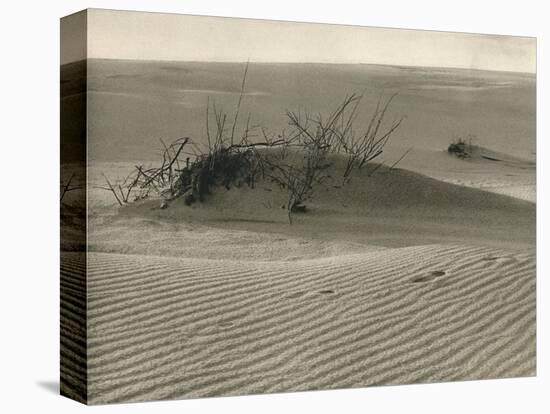 'Kurische Nehrung - Shifting dune', 1931-Kurt Hielscher-Premier Image Canvas