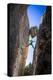 Kyle Vassilopoulos Having Fun Climbing Below A Large Chock Stone Slot Canyon At Natural Bridge SP-Ben Herndon-Premier Image Canvas