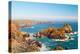 Kynance Cove, Lizard, Cornwall, England, United Kingdom, Europe-Kav Dadfar-Premier Image Canvas