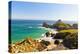 Kynance Cove, Lizard, Cornwall, England, United Kingdom, Europe-Kav Dadfar-Premier Image Canvas