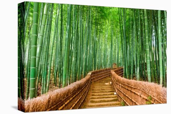 Kyoto, Japan at the Bamboo Forest.-SeanPavonePhoto-Premier Image Canvas