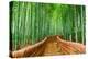 Kyoto, Japan at the Bamboo Forest.-SeanPavonePhoto-Premier Image Canvas