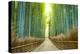 Kyoto, Japan Bamboo Forest.-SeanPavonePhoto-Premier Image Canvas