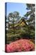 Kyoto, Japan. The Ninomaru Palace is gilded with gold at Nijo Castle-Miva Stock-Premier Image Canvas