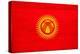 Kyrgyzstan Flag Design with Wood Patterning - Flags of the World Series-Philippe Hugonnard-Stretched Canvas