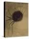 L'Araignée souriante-Odilon Redon-Premier Image Canvas